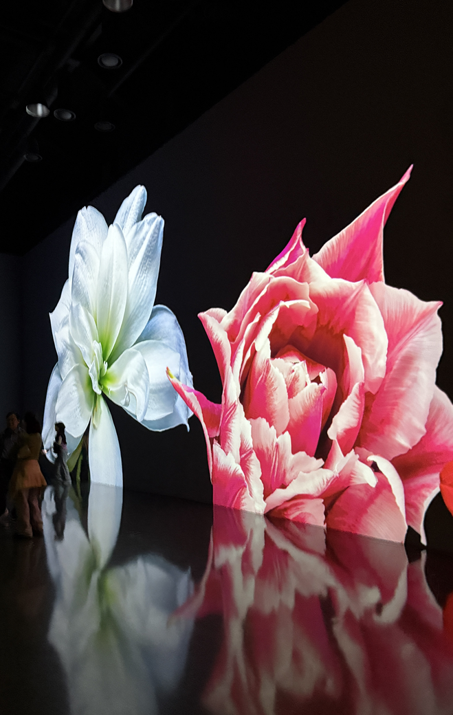 곤지암화담숲-화담채