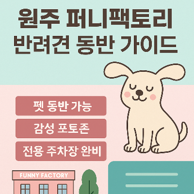원주 퍼니팩토리, 강아지랑 같이 놀 수 있을까? 반려견 동반 가능 구역 + 주차 꿀팁 정리!