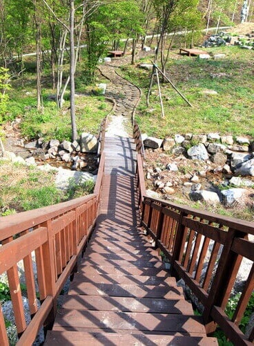 숲나들e 공립 자연휴양림 국내 여행지 추천 지역별 목록 관련사진