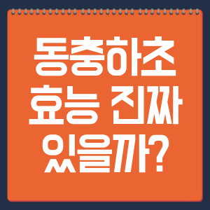 동충하초 효능 진짜 있을까?