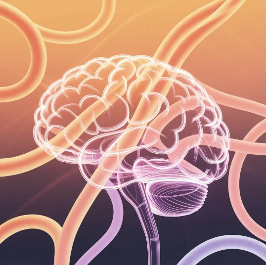 Gemini 3.0 Deep Think를 상징하는 뇌 모양 일러스트 이미지