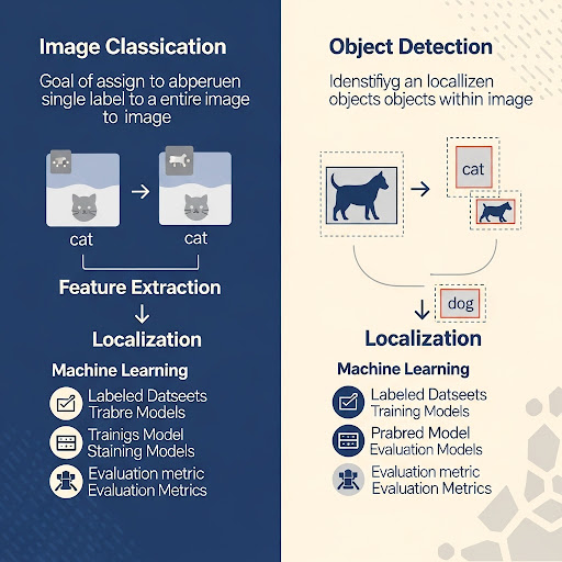 이미지 분류(Classification)와 객체 탐지(Detection)의 차이와 원리