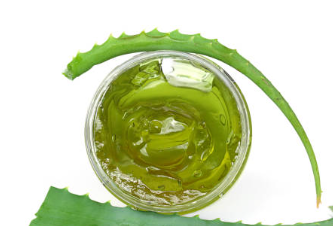 알로에 수딩젤 제품 추천 / 수딩젤 효능 알로에 베라 / 알로에 먹는 방법 키우는 방법