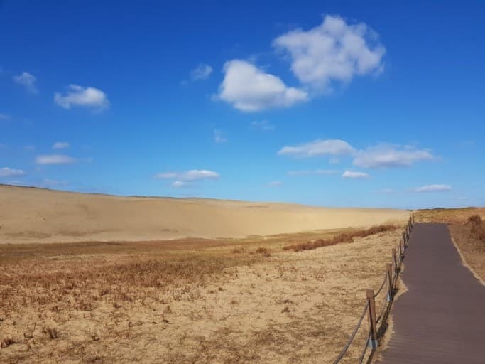 충남 태안 봄 여행지 BEST 3｜천리포수목원 목련(봄꽃)축제 주변 여행지