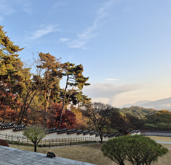 아산 현충사 곡교천 은행나무길 황금빛 단풍 터널! 가을 여행 추천