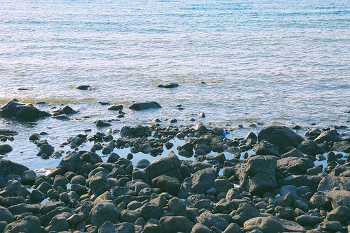 민생회복지원금 2차