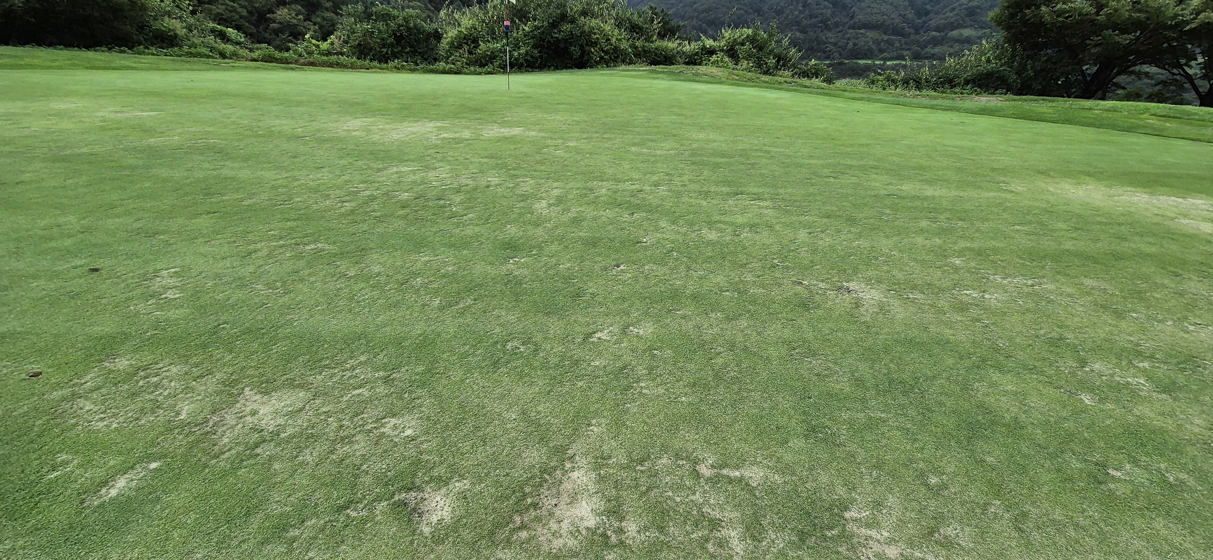 더플레이어스cc