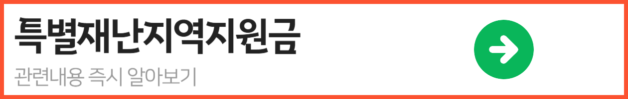 특별재난지역지원금