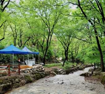 서울대공원 캠핑장 예약