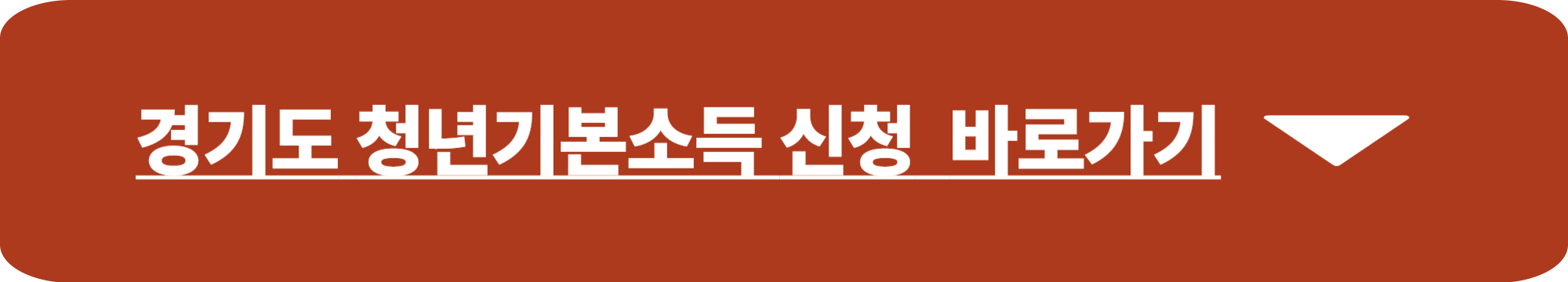 경기도 청년기본소득