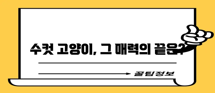 수컷 고양이 매혹적인 외모와 사랑스러운 본성은 정말 최고입니다!