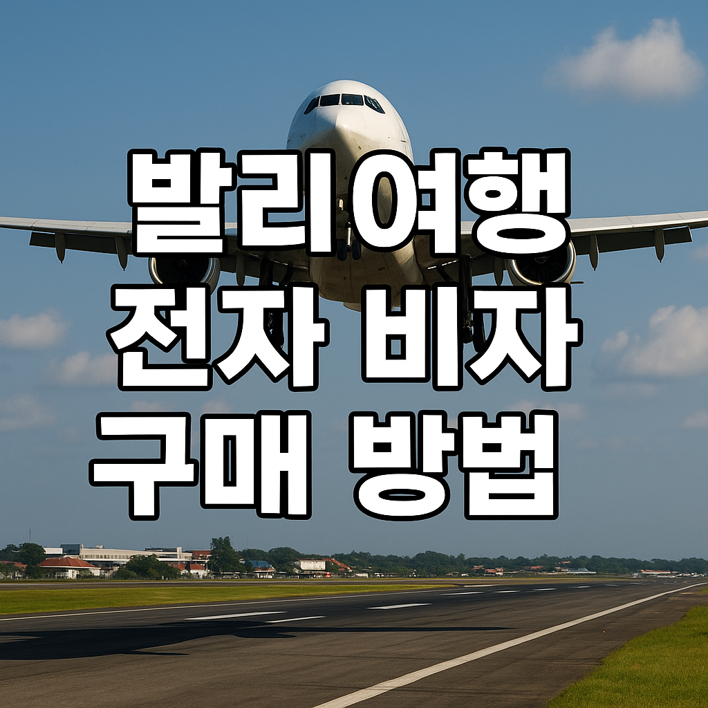 발리여행-전자비자-구매방법