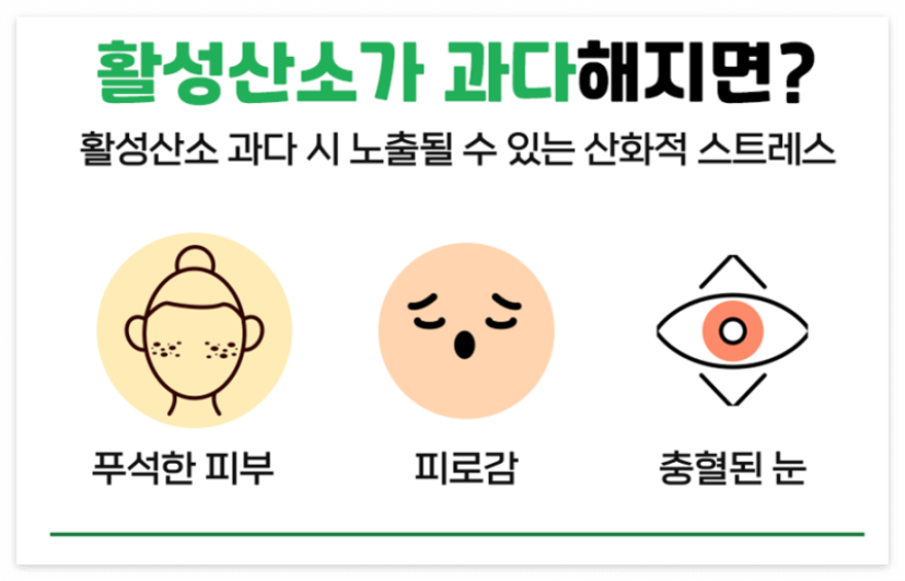항산화 뜻, 활성산소 제거