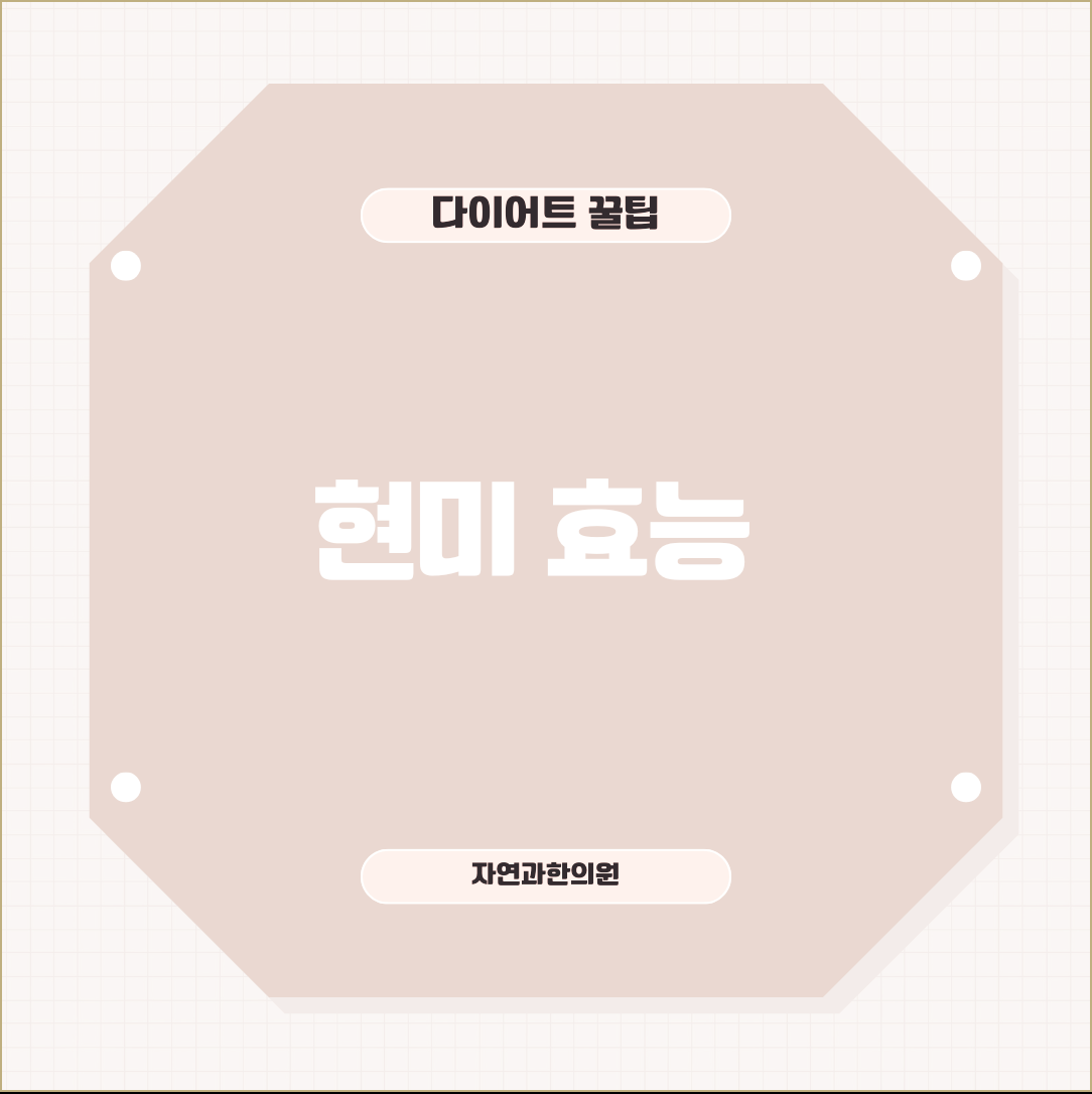 현미 효능 건강한 식단을 구성하는 데 도움이 되는 식품