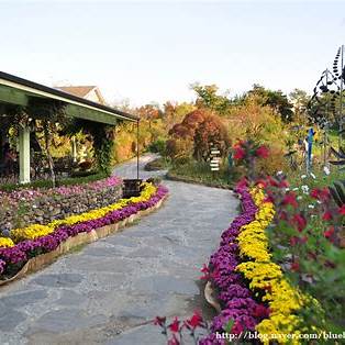 연천 허브 빌리지