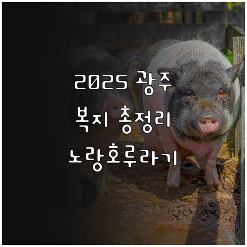 2025년 광주 복지: 노랑호루라기 ..
