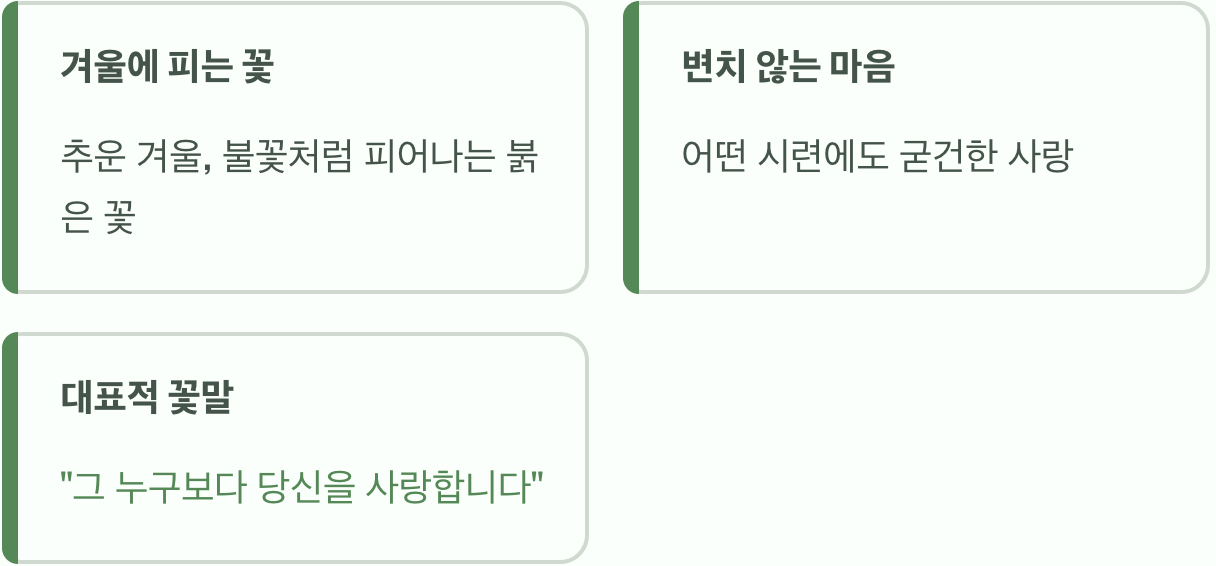 겨울 속에서 피어나는 붉은 약속