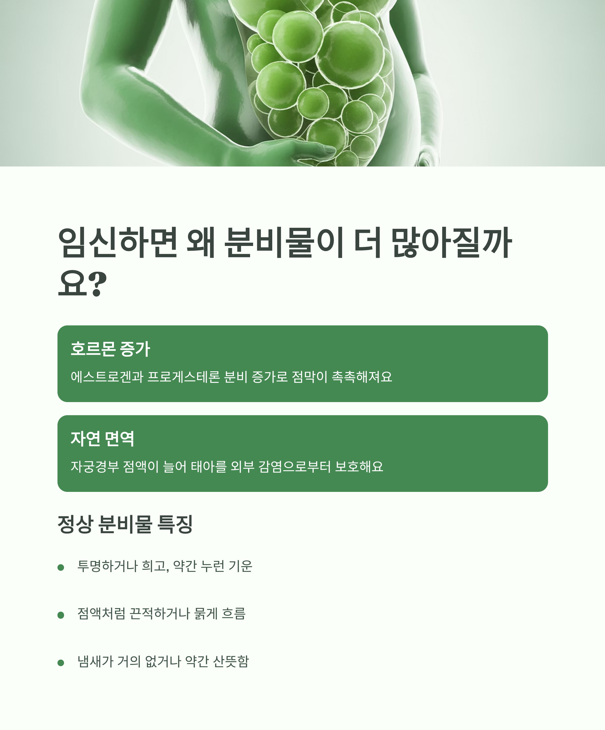 임산부의 복부와 자궁을 형상화한 초록색 그래픽과 함께, 임신 중 분비물이 증가하는 이유(호르몬 증가, 자연 면역 작용 등)를 설명한 인포그래픽 이미지