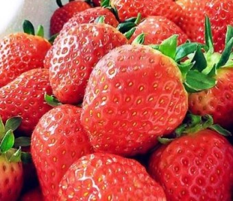 2023년 유방암에 좋은 음식 베스트 모음