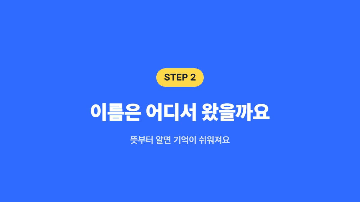 이름은 어디서 왔을까요 — 뜻부터 알면 기억이 쉬워져요