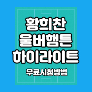 황희찬 하이라이트