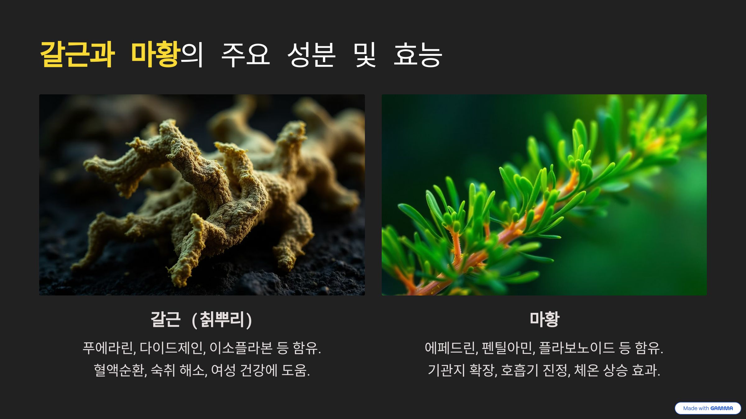 갈근, 마황 약재