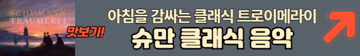 슈만 클래식
