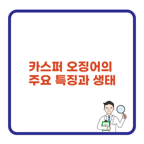 카스퍼 오징어의 주요 특징과 생태