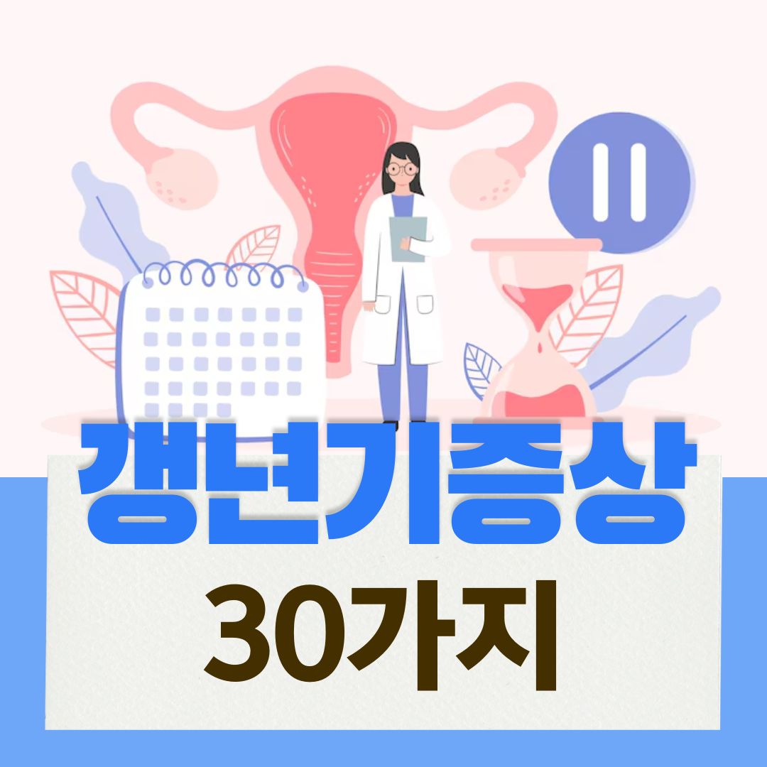 갱년기 증상 30가지