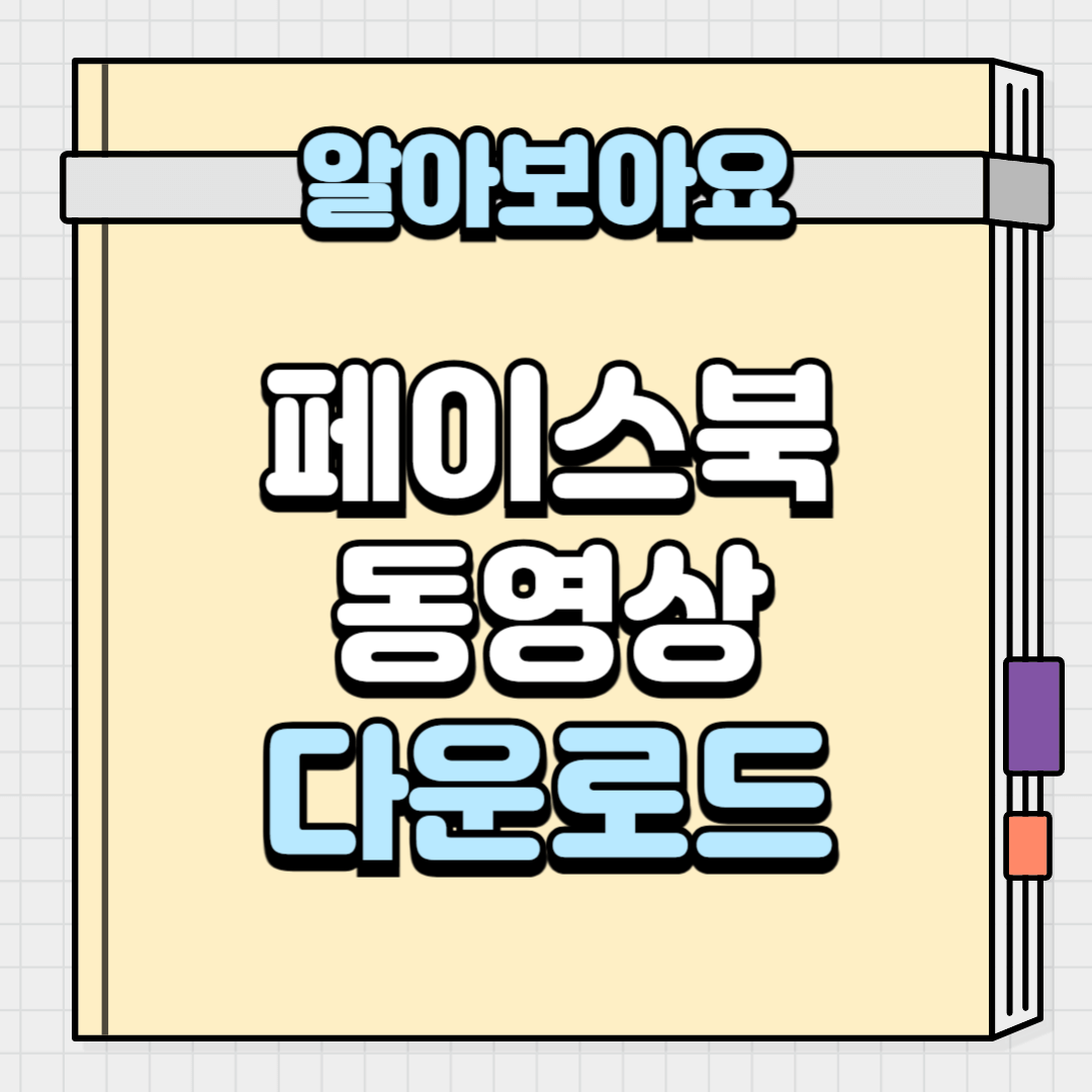 페이스북 동영상