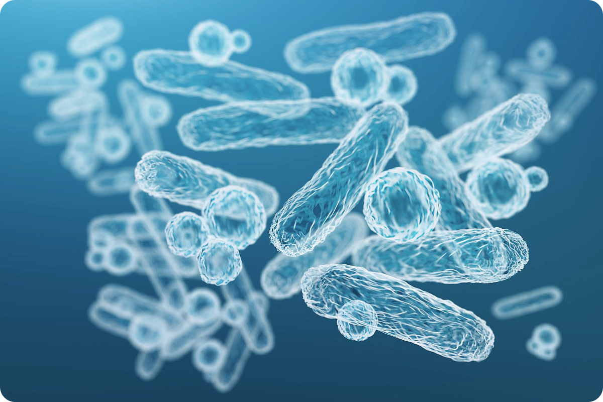 유산균-유산균-먹는시간