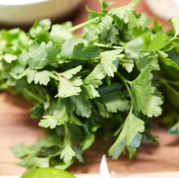 파슬리의 효능 부작용 먹는법 고르는법