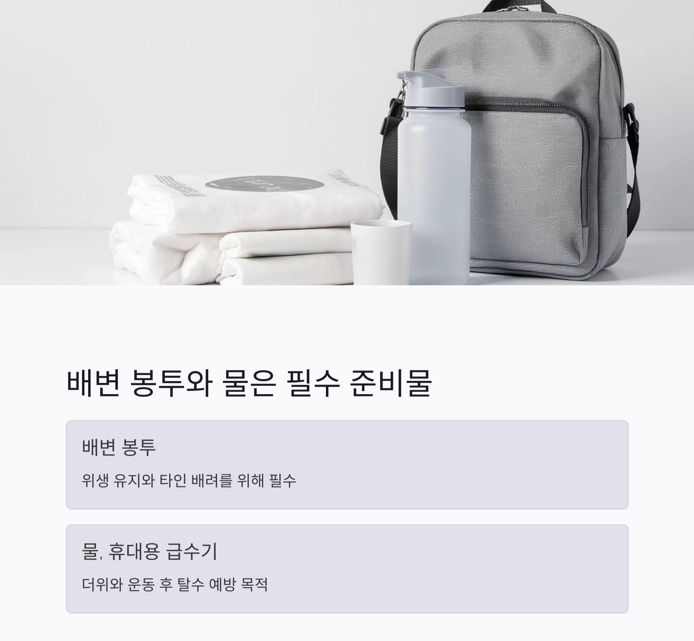 강아지 산책 시 꼭 알아야 할 필수 주의사항 7가지