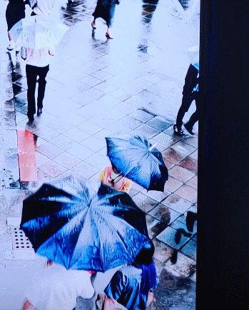 서울시립사진미술관에서 가장 흥미롭게 본 오주영 작가