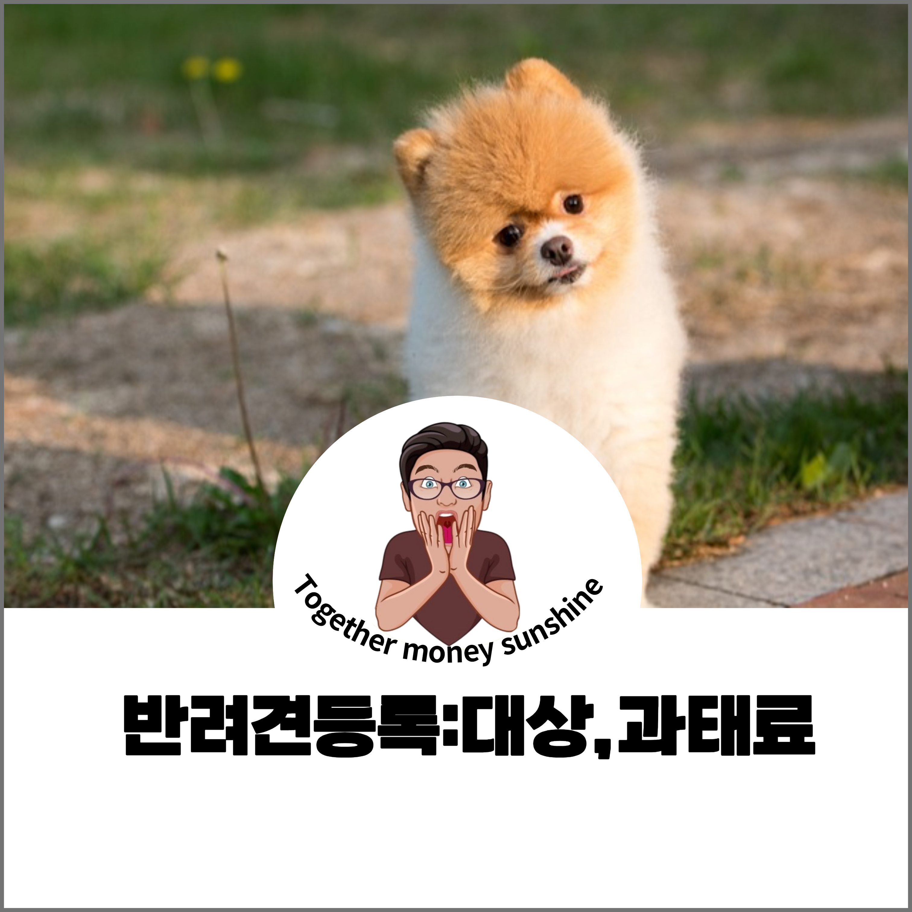 반려견 등록
