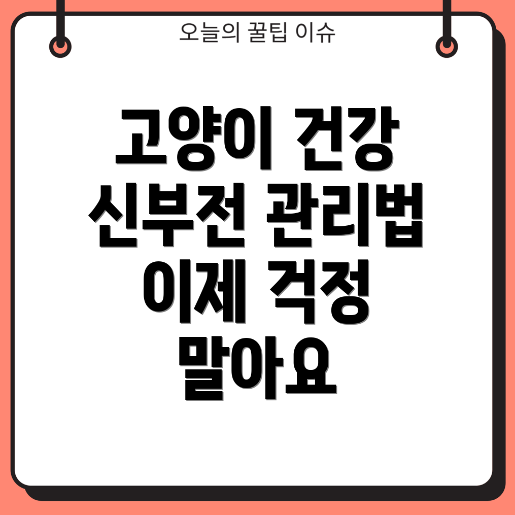 만성 신부전 고양이