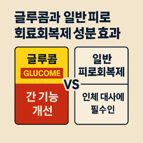 글루콤과 일반 피로회복제 성분 효과 비교