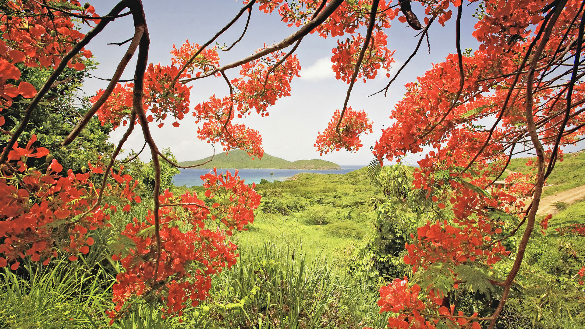 서울사랑상품권 발행일정 구매방법