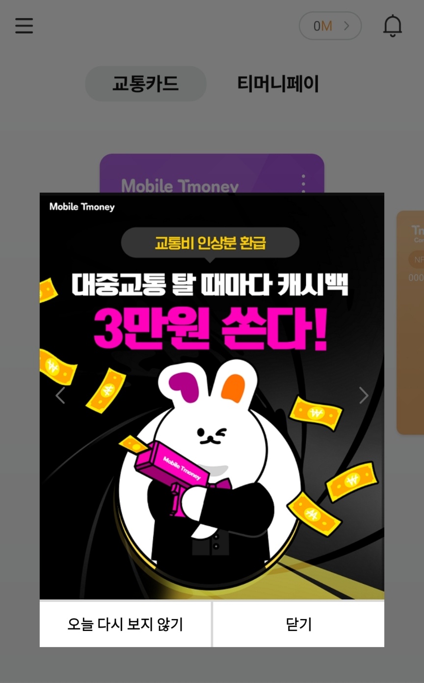 모바일티머니