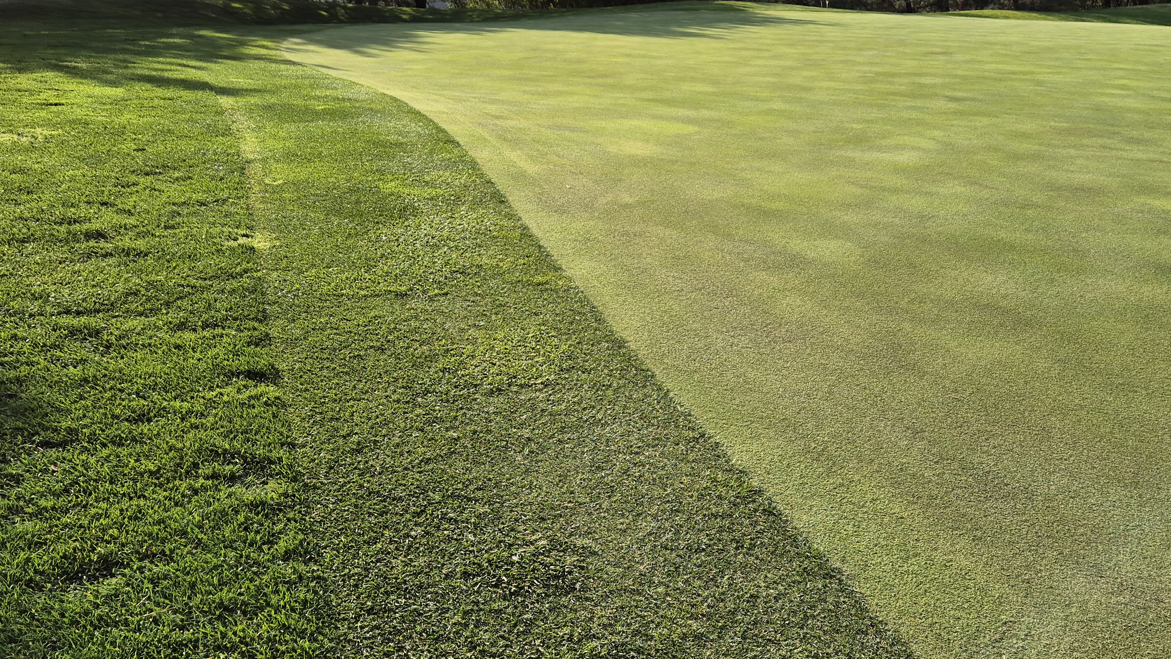 소노펠리체cc 비발디파크 웨스트