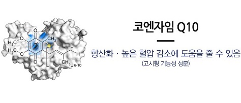 코엔자임Q10