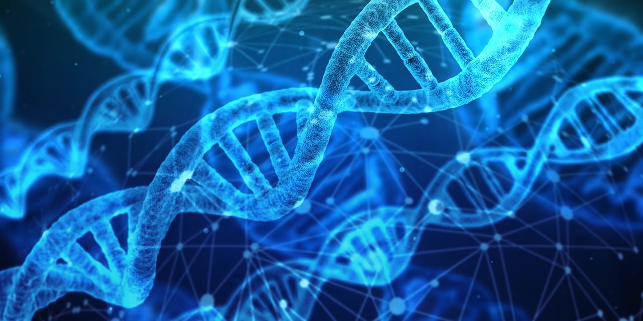 DNA 이미지