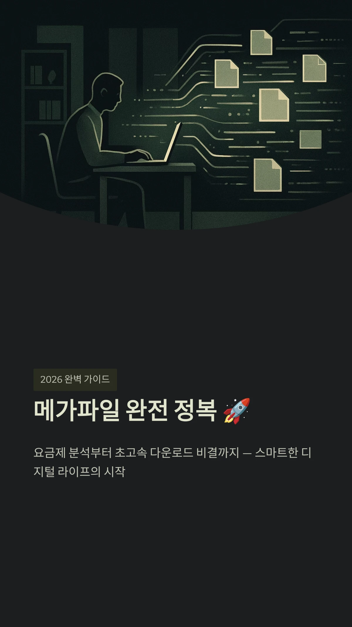메가파일 완전 정복