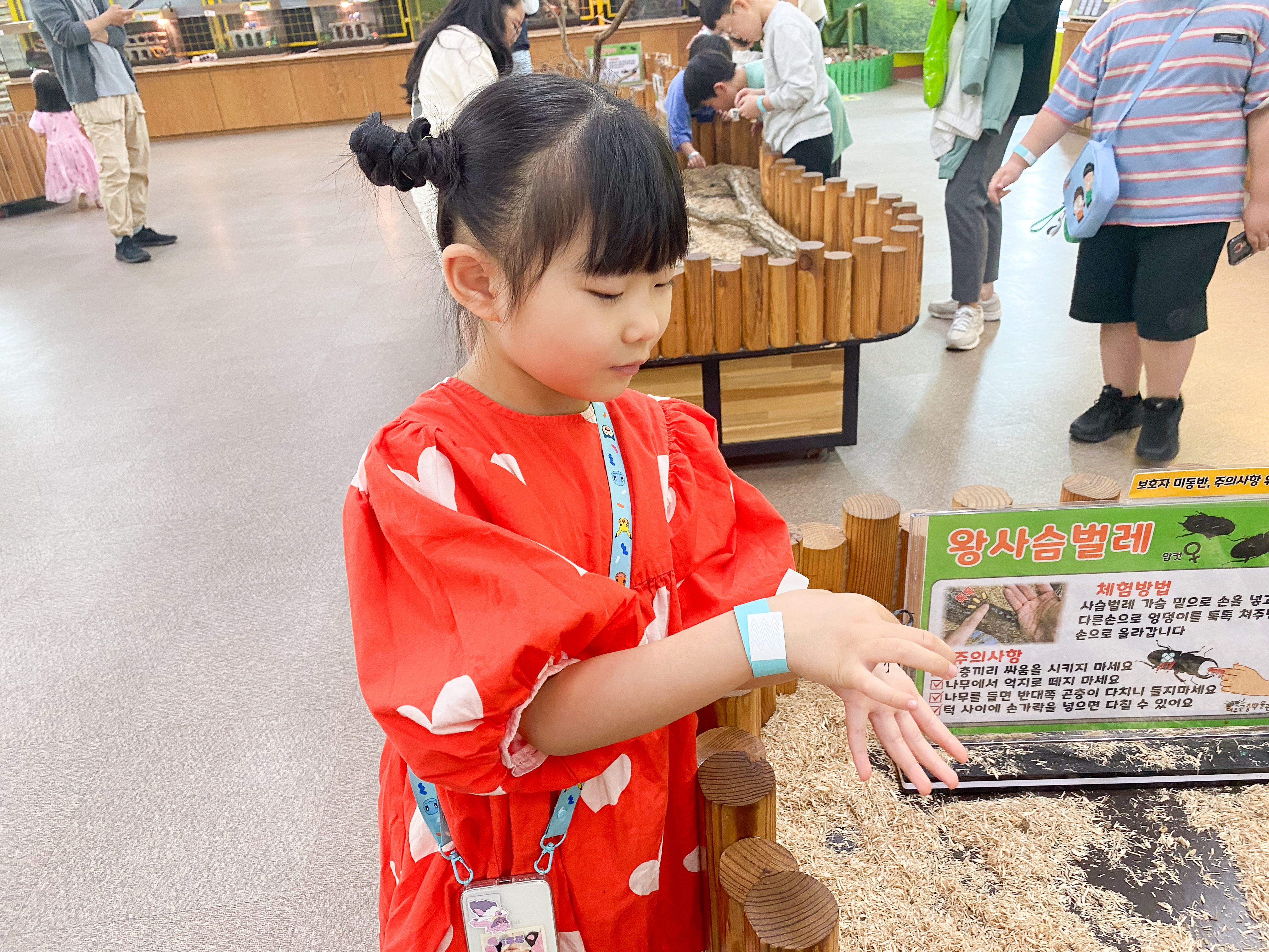 왕사슴벌레를 만져보는 샛별