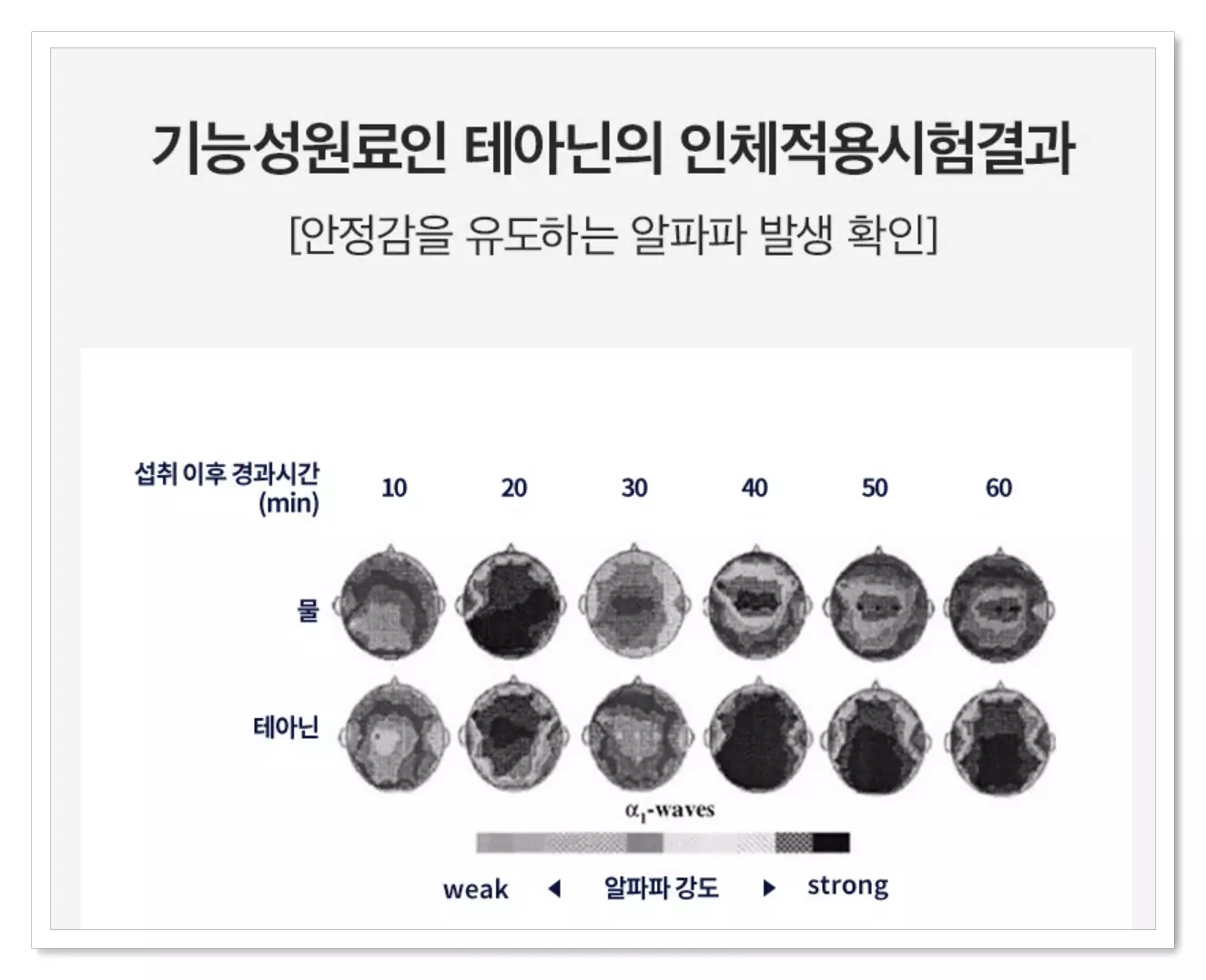 세리번 나이트 다이어트 l-테아닌 효과