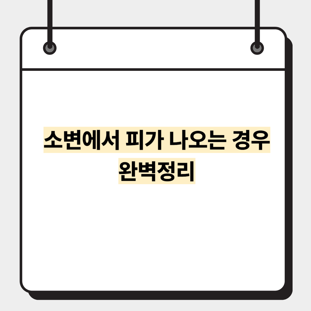 소변에서 피가 나오는 경우 완벽정리