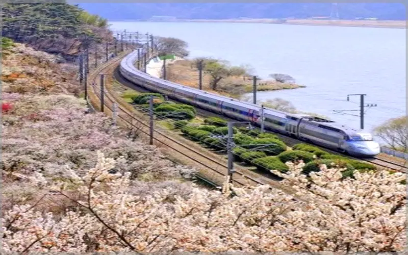 원동 미나리축제_15