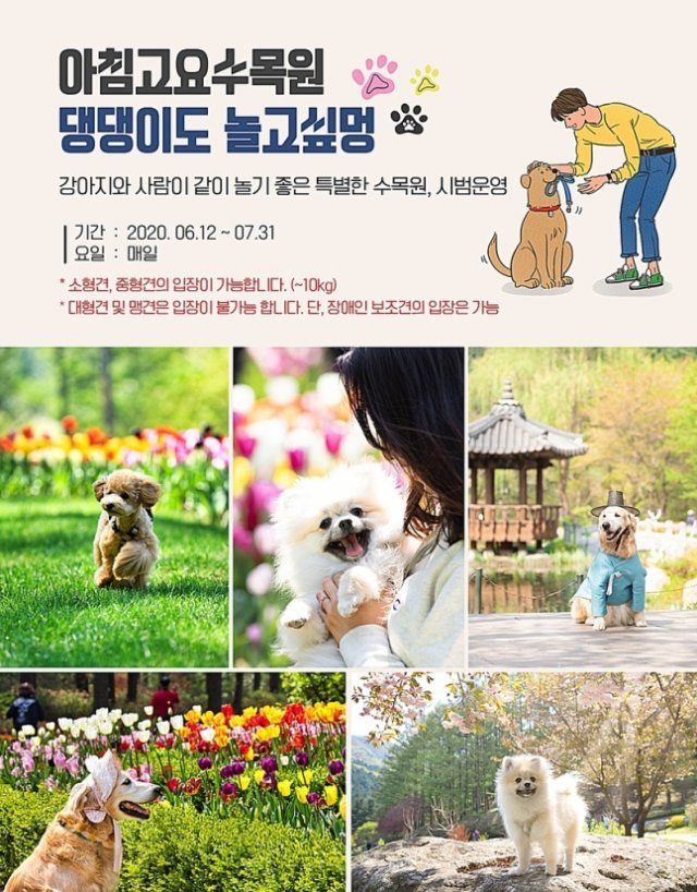 아침고요수목원에서 강아지와 함께하는 봄 산책 풍경