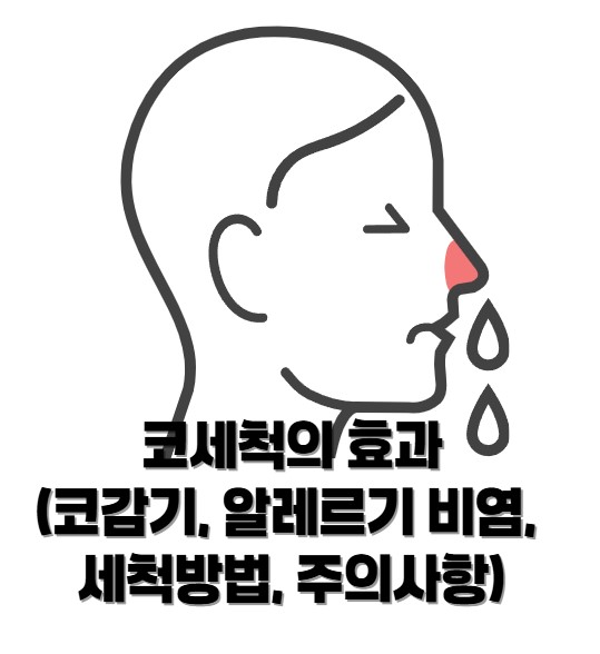 코세척의 효과(코감기, 알레르기 비염, 세척방법, 주의사항)