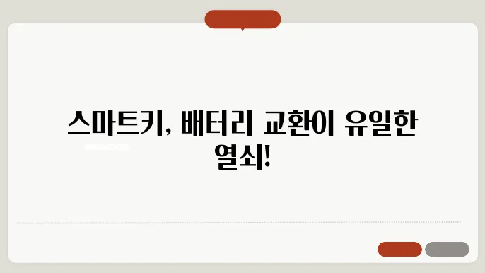 자동차 스마트키 배터리 교환